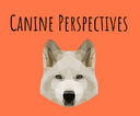 Canine Perspectives